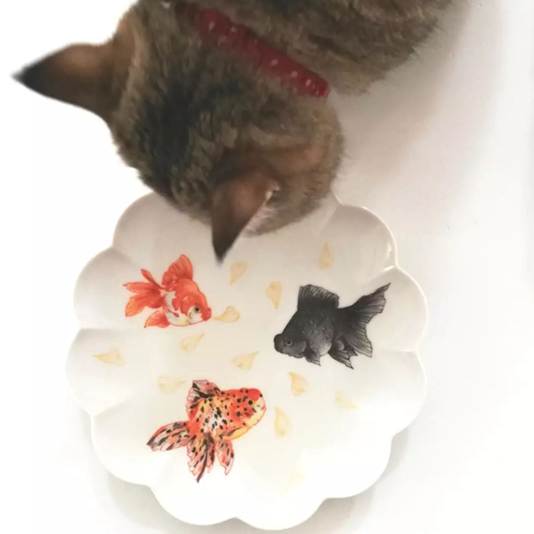 金魚が描かれた菊皿をのぞき込む猫